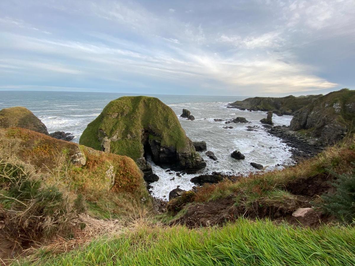 Toadhall Rooms Muchalls المظهر الخارجي الصورة