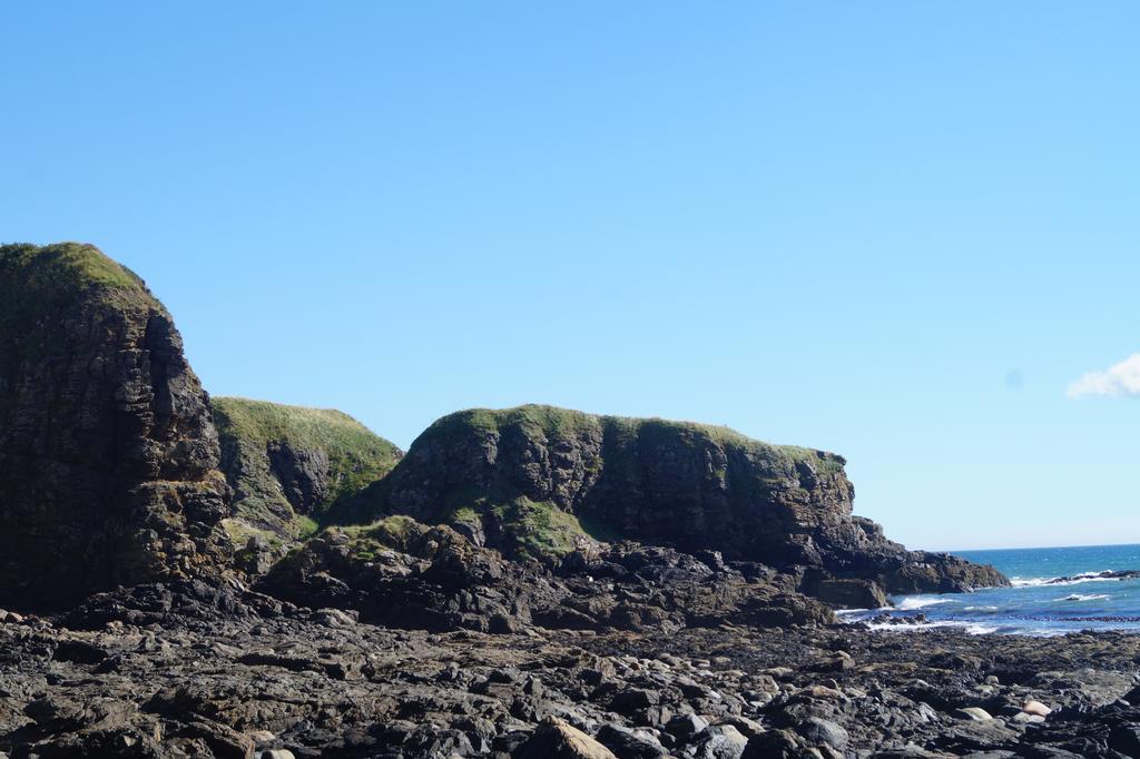 Toadhall Rooms Muchalls المظهر الخارجي الصورة